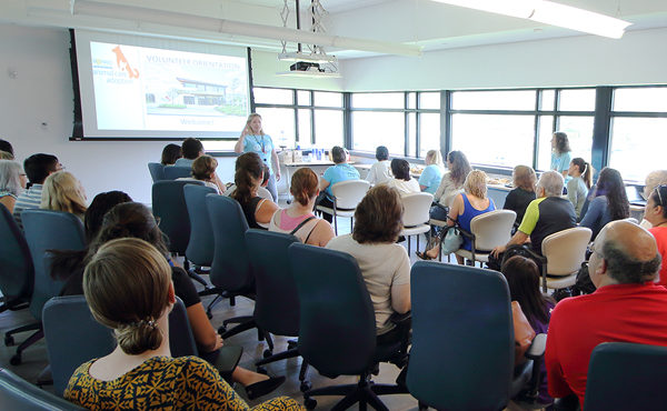 PowerPoint 2010/2013 Básico