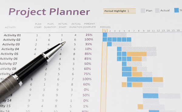 Primavera Project Planner P-6